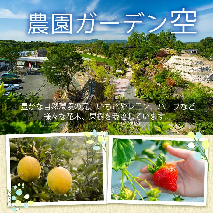 ＜先行予約受付中！2027年1月以降順次発送予定＞農園ガーデン空産いちご 恋みのりセット(計1.1kg・280g×4P)国産 イチゴ 苺 フルーツ 果物【農園ガーデン空】akn026-02