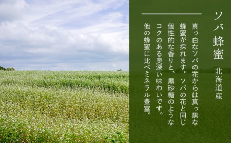 【国産純粋蜂蜜】北海道産 そば蜂蜜 1kg ビン入り［ナルセ養蜂場］【 はちみつ ハチミツ 蜂蜜 ハニー 無添加 天然 健康 美容 料理 無添加 純粋 希少 大容量 ギフト プレゼント 自宅用 家庭用 北海道 十勝 幕別 】
