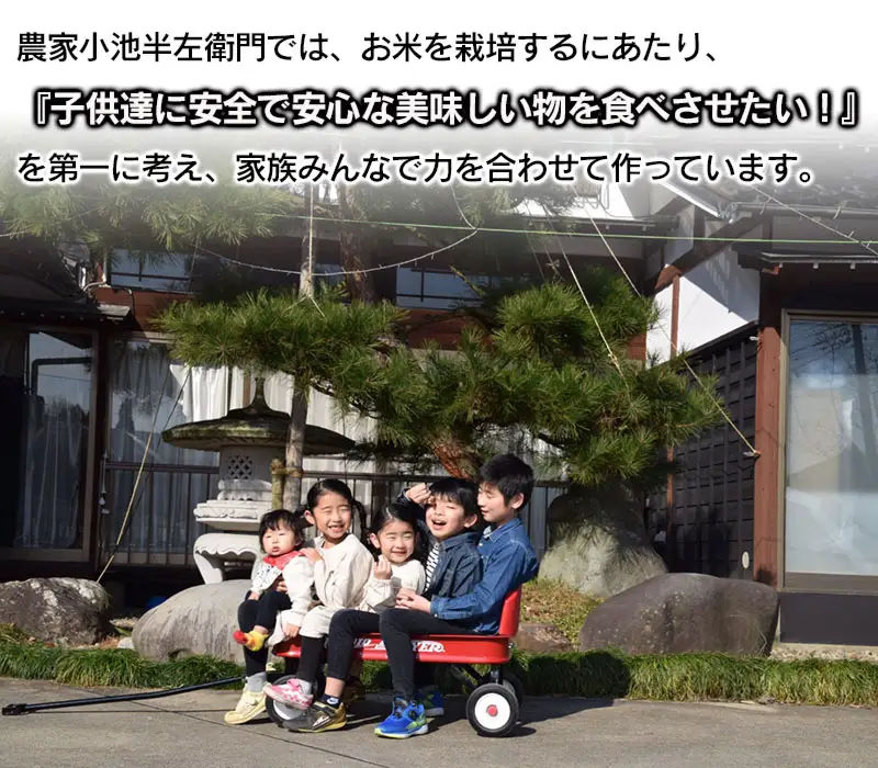 【令和7年産】 山形県庄内産 小池半左衛門のお米 はえぬき 無洗米 10kg (5kg×2袋)