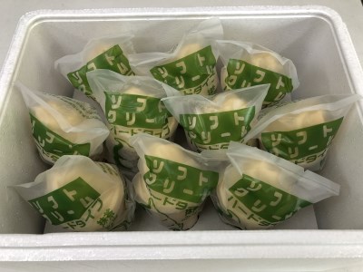 挽きたてのお抹茶使用！濃厚抹茶アイスクリーム10個