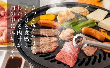 飛騨牛 みすじ ウデ 焼肉 700g 盛り合わせ ( 赤身 & 霜降り )  焼肉 FC003
