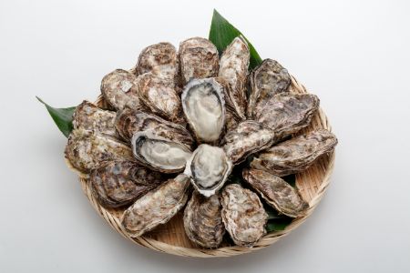 [2027年1月8日より発送！]オレの牡蠣 広島県大竹市産 殻付牡蠣 3kg 大容量 朝どれ [1806]