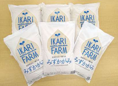 【新米】令和8年産 みずかがみ　白米定期便　12か月で5kgを6回お届け（2か月に1回）【C035W2】近江米