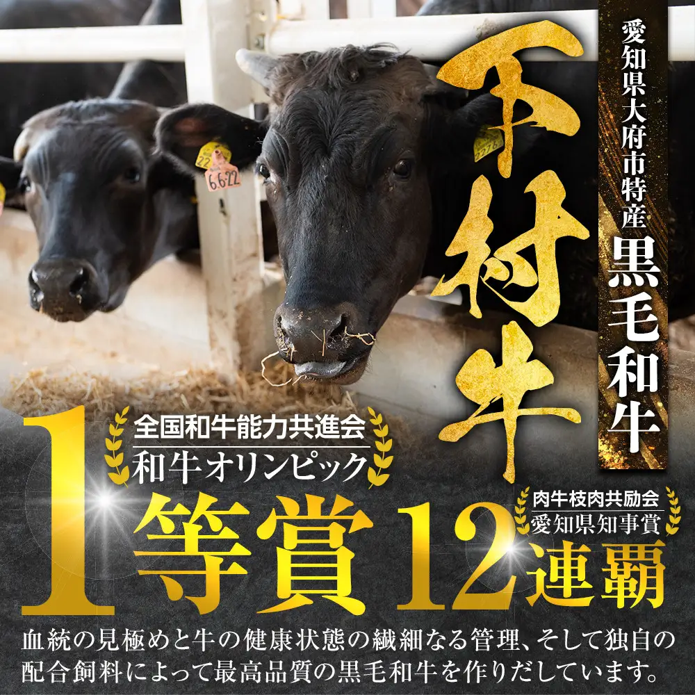 【定番】大府特産A5黒毛和牛下村牛極上シャトーブリアン5枚入り約600g シャトーブリアン