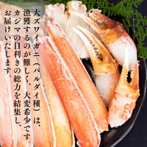 生冷 大ずわいがに 800g 数量限定 バルダイ種 ずわいがに かに _AF008