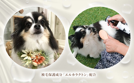 プロテインミスト 犬用 本体・詰替用 プロテインミスト【200ml・詰替400ml】