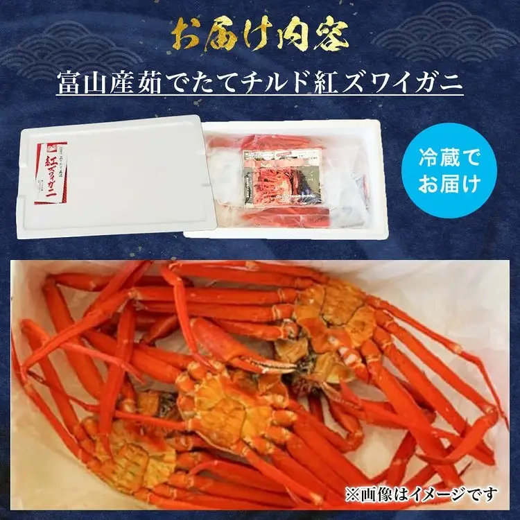 【訳あり】 自社漁船直送！魚卸問屋のベニズワイガニ 約2kg ※2026年9月下旬～2027年5月下旬頃に順次発送予定 ※北海道・沖縄・離島への配送不可