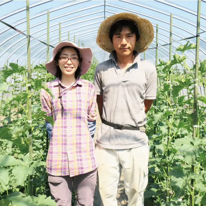 【2027年度産 先行予約・数量限定】北海道の森が育てた奇跡のキングメロン 1玉