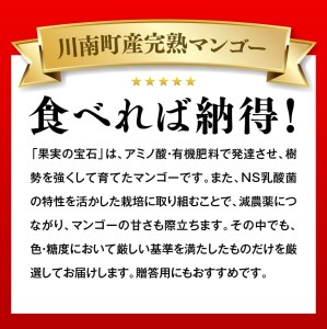 【令和9年発送】【宮崎県産完熟マンゴー】果実の宝石　プレミアム 2L×2玉 【 先行予約 数量限定 宮崎県産 九州産 川南町産 糖度15度以上 期間限定 】