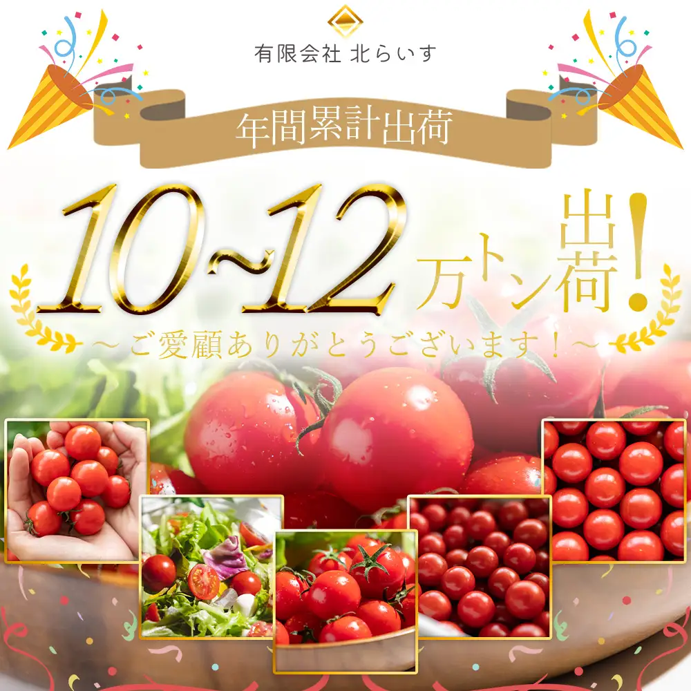 【2026年12月以降順次配送分】フルーツトマト 3kg トマト kr-0086