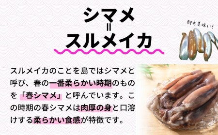 イカ 肝醤油漬け３種 食べ比べ イカ