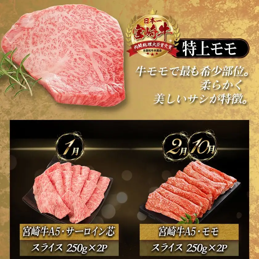 特選(A5)宮崎牛の贅を味わう（12ヶ月定期便）〔TAH12-0102〕_(都城市) 宮崎牛 5等級 12ヶ月定期便 サーロイン芯スライス モモスライス シャトーブリアンステーキ 特上モモステーキ ロース焼肉用 ヒレステーキ