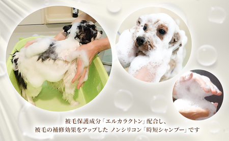 アーユルニームシャンプー 犬用 本体・詰替用 アーユルニームシャンプー【200ml・詰替400ml】