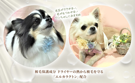 プロテインミスト 犬用 ブラッシングスプレー プロテインミスト【50ml 200ml 詰替400ml】