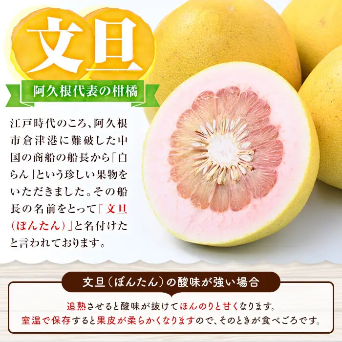＜先行予約受付中！2027年1月上旬以降順次発送予定＞数量限定！鹿児島県阿久根市産ボンタン(計4kg) 国産 ぼんたん 文旦 果物 くだもの フルーツ 柑橘【松永青果】akn053-01