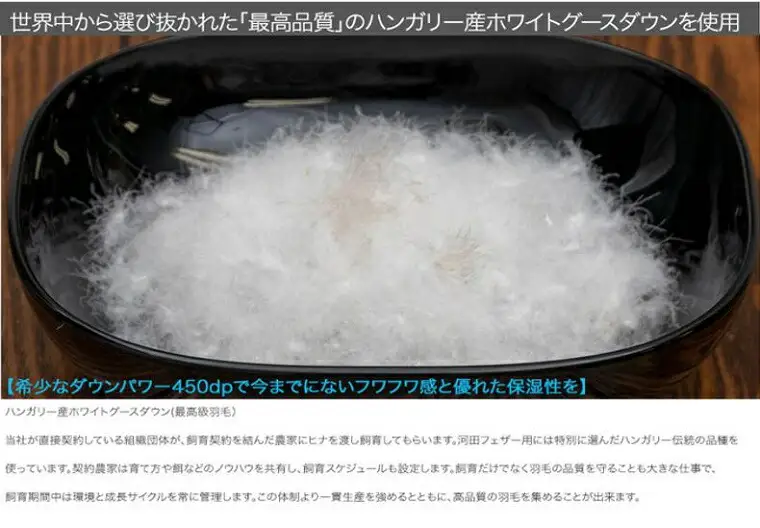 【河田フェザー使用】 ナノクリスタル 羽毛掛けふとん シングルロング （NC-01） ECOダウン フェザー 高級 ふとん 布団 フトン 寝心地 品質 高級 ホテル 掛け布団 日本製 河田フェザー 羽毛布団 睡眠 シングル エコ ホワイト 清潔