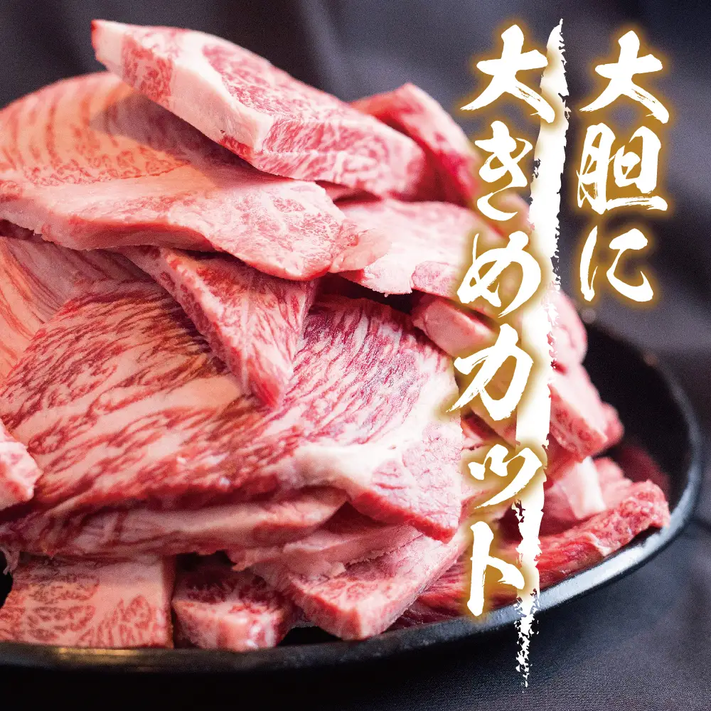 【ふるなび限定】飛騨牛 訳あり 焼肉1kg 切りおとし | 牛肉 訳あり 丸明 LR008-CP02 FN-Limited-PR