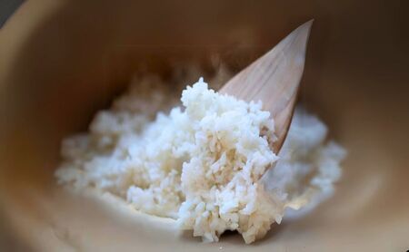 お米 自然米 4.8kg 無農薬 有機JAS お米
