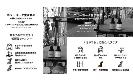 シャンプー トリートメント SBCP 詰め替え シャンプー