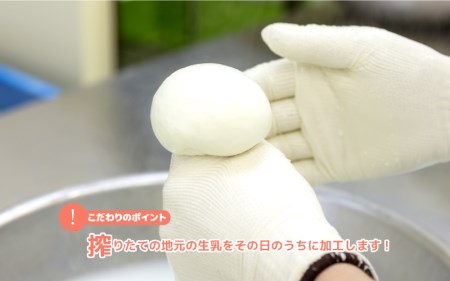 【数量限定】訳あり！ゴーダチーズセット