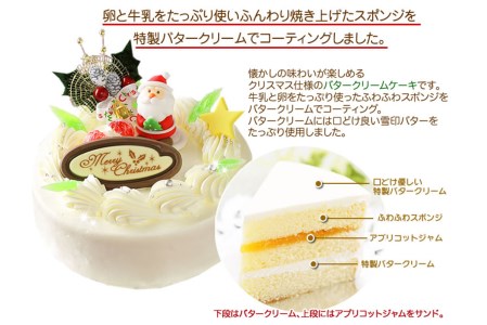 ＜ 12月20～24日にお届け ＞ クリスマスケーキ クリスマスバター 5号 昭和レトロ バタークリーム ケーキ【お届け予定：12/20～12/24】冷凍発送 ＜ 予約受付 ＞