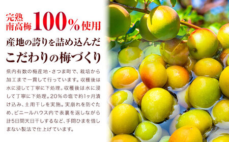 訳あり はちみつ黒糖梅干し 計1.4kg うめぼし 蜂蜜 お取り寄せ 梅干し 梅