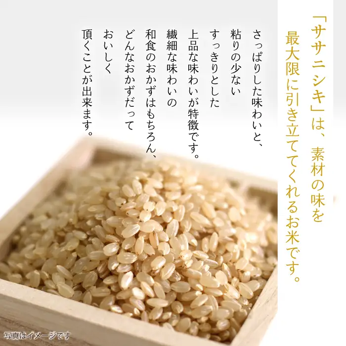 【 2026年 12月より発送】 新米 武田家のお米 墾 ササニシキ 玄米 5kg 総量 15kg 農薬 化学肥料 ：栽培期間中 不使用 3ヶ月 定期便 【米農家 仁左ェ門】