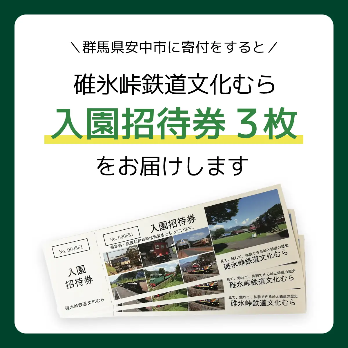 入園招待券3枚セット ANAE001