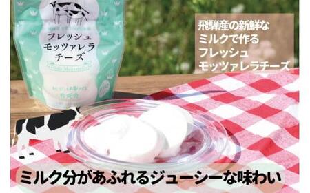飛騨の新鮮モッツァレラ＆フレッシュ野菜 お届けセット モッツァレラチーズ DF001