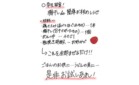 梅干し 初心者大歓迎 若狭梅はじめましてセット 梅干し