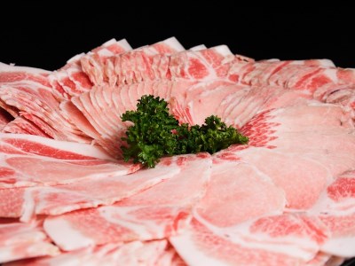 EN023_ブランド豚肉　肥前さくらポークうす切り（ロース）(400ｇ×３Ｐ）
