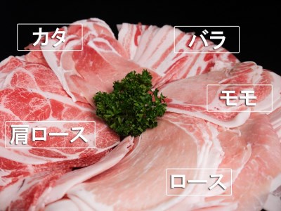 EN027_ブランド豚肉　肥前さくらポーク食べ比べ(モモ肉400ｇ、カタ肉400ｇ、ロース肉400ｇ、肩ロース400ｇ、バラ肉400ｇ）