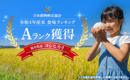 コシヒカリ 米 5kg 単一原料米 一等米 白米 コシヒカリ