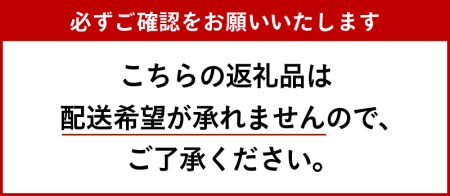 【続日本の100名城 田丸城 御城印】 オリジナルコースター 1枚 [お城 三重県]