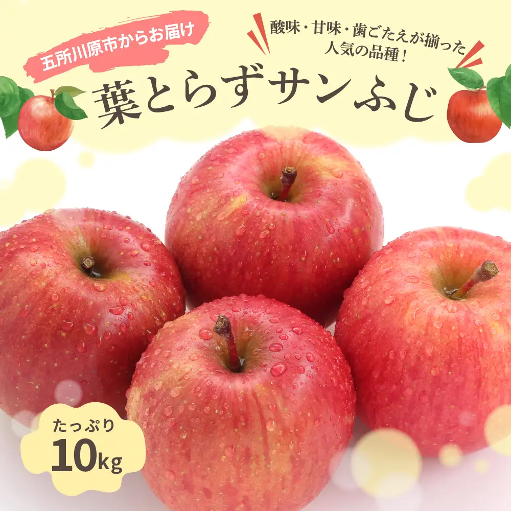 【2027年3月下旬発送】りんご 葉取らずサンふじ 10kg 程度 青森りんご