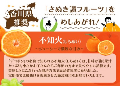 【さぬき讃フルーツ】認定品限定!人気のフルーツ定期便(年3回)