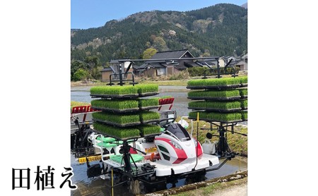 米 コシヒカリ 玄米 10kg