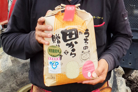 米 令和7年産 特別栽培米 ミルキークイーン 5kg 精米