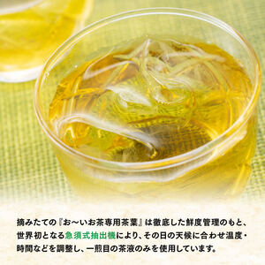 【9ケ月定期便】伊藤園 お～いお茶 緑茶 2L×6本×２ケース PET 【 飲料 ソフトドリンク 長期保存 備蓄 ペットボトル 全９回 定期便 】
