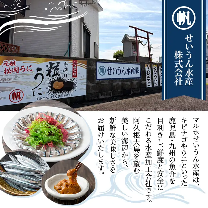 鹿児島県産！あくねキビナゴづくし(3種)生きびなご、一夜干し、刺身をセットに冷凍でお届け！魚介類 海鮮 海の幸 きびなご キビナゴ 刺し身 さしみ 一夜干し【マルホせいうん水産】akn046-03