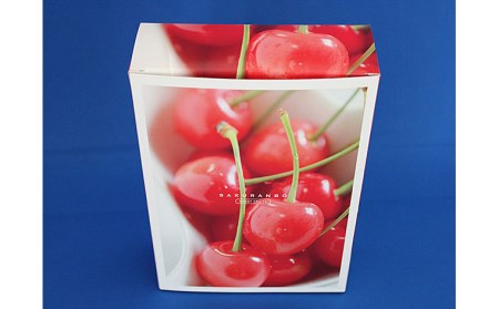 ★旬★山形産 さくらんぼ 佐藤錦 Lサイズ 500g スリーブ箱 バラ詰め 【令和9年産先行予約】FS26-611