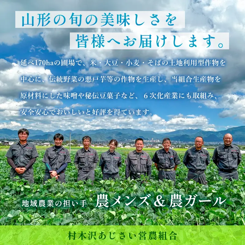 山形市の伝統野菜 村木沢の「悪戸いも」ねっとり食感里芋 2kg FZ26-870