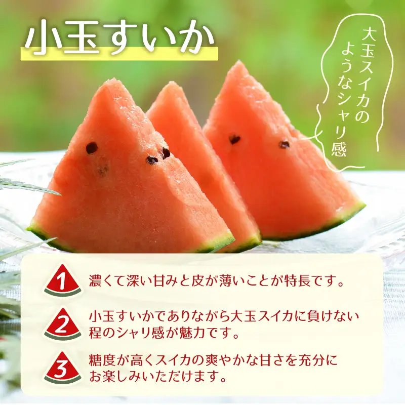 【先行予約】小玉すいか 愛娘(まなむすめ) 2kg以上 2玉入 ＜大玉のようなシャリ感！皮際まで抜群に甘い＞ ／ 期間限定 あわら 果物 フルーツ 産地直送  スイカ 小玉スイカ ※2027年6月上旬より順次発送 [aw039-a017]