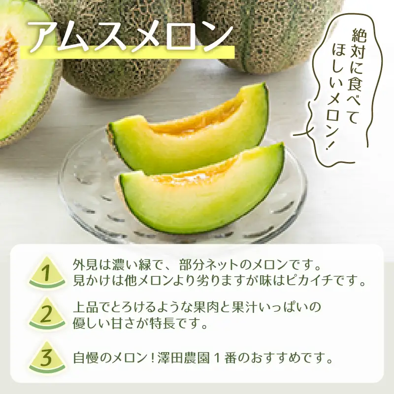 【先行予約】アムスメロン（1.3kg以上 2玉入) とろけるような果肉が絶品！／ あわら 期間限定 果物 フルーツ 産地直送 青肉 人気 ※2027年6月下旬より順次発送 [aw039-a018]