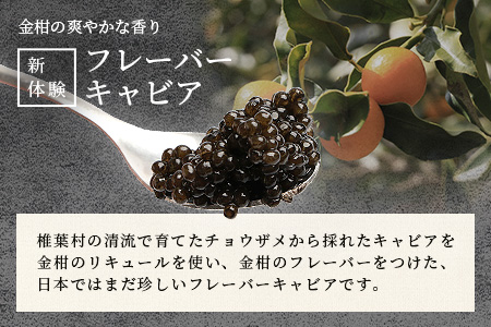 【世界三大珍味×日本三大秘境】HEIKE CAVIAR 金柑キャビア 20g【産地直送】【簡易包装】 国産 チョウザメ 金柑 キャビア 20g 魚卵 魚介 珍味 SZ-127