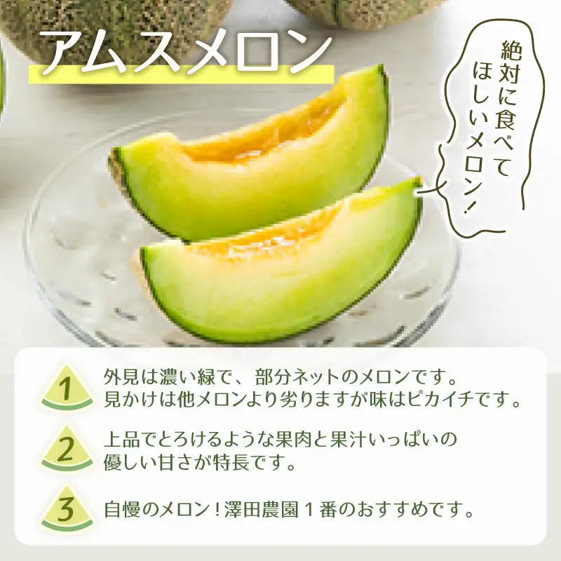 【先行予約】アムス・マリアージュメロン 2種（1.3kg以上 2玉入）農園1番のおすすめ！ / あわら 期間限定 果物 フルーツ 産地直送 青肉 赤肉 人気 ※2027年7月上旬より順次発送 [aw039-a019]