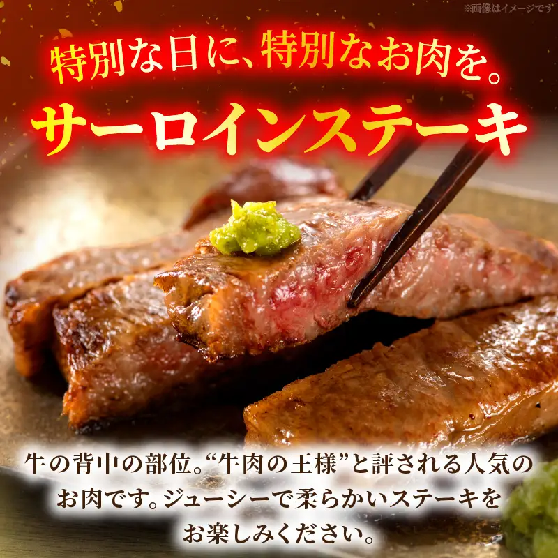 宮崎牛サーロイン ステーキ 200g×2枚 お肉 肉 牛肉 宮崎牛 サーロイン ステーキ 焼肉 バーベキュー 記念日 誕生日 お祝い ギフト 贈答 お取り寄せ