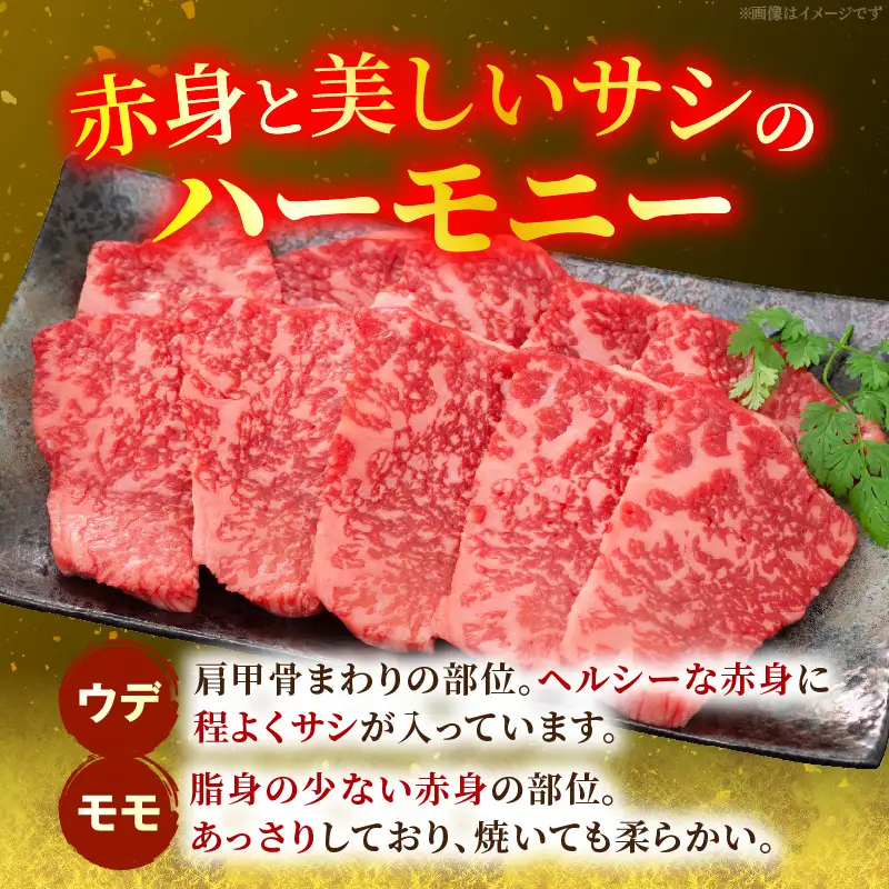宮崎牛赤身（ウデ・モモ）焼肉 500g お肉 肉 牛肉 宮崎牛 ウデ モモ 赤身 焼肉 バーベキュー ギフト 贈答 お取り寄せ