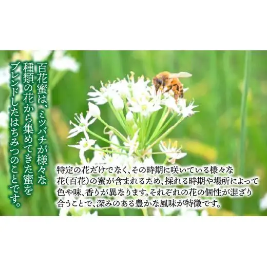 【国産】純粋蜂蜜1200g