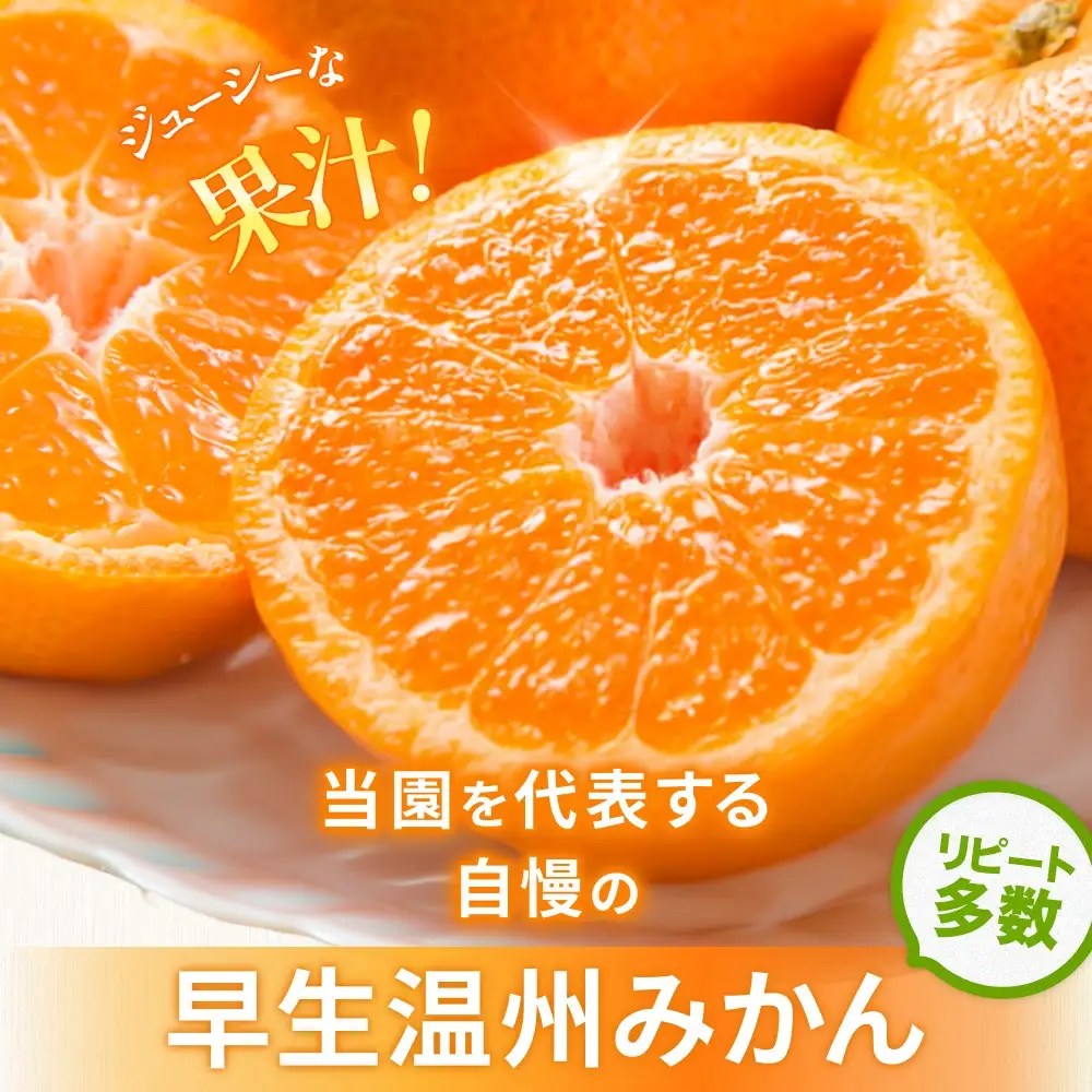 みかん 早生温州みかん 5㎏【knpr0014A】